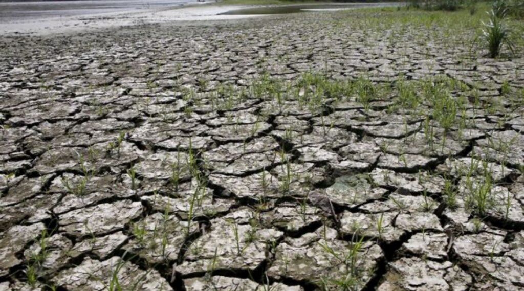 FILE PHOTO: An area is uncovered by the lowering of the water level from the Magdalena river, the longest and most important river in Colombia, due to the lack of rain, in the city of Honda