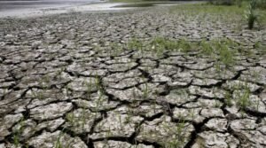 FILE PHOTO: An area is uncovered by the lowering of the water level from the Magdalena river, the longest and most important river in Colombia, due to the lack of rain, in the city of Honda