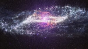 IMG_8421